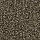 Mohawk Carpet: Authentic Notion Pinecone